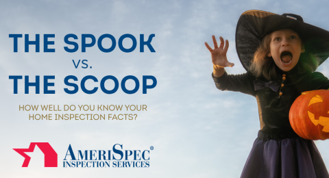 The spook vs. the scoop